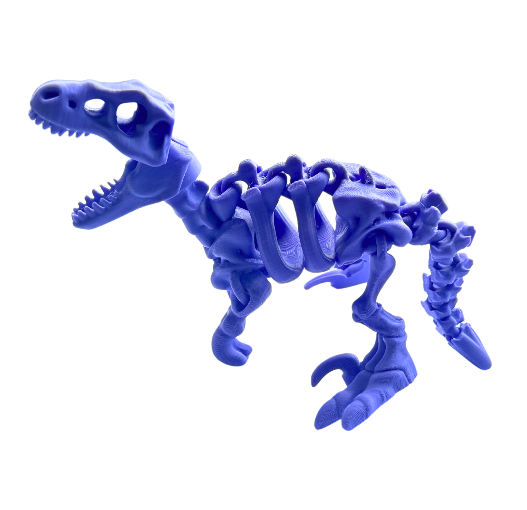 Zara Zombie Dino